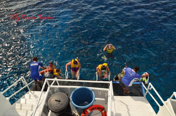 get on the boat before it leaves without you