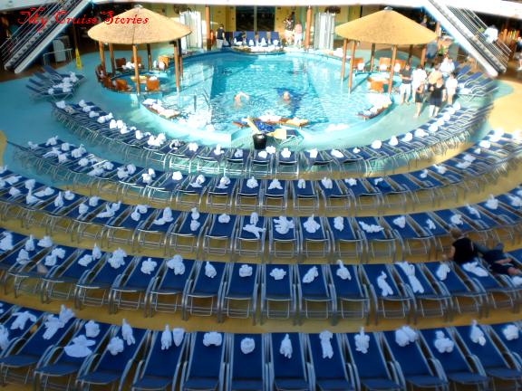 towel animals take over