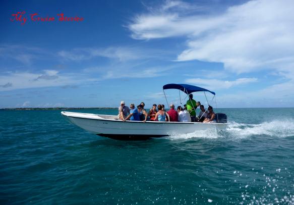 shore excursion transportation