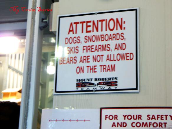 How will the bears get to town?