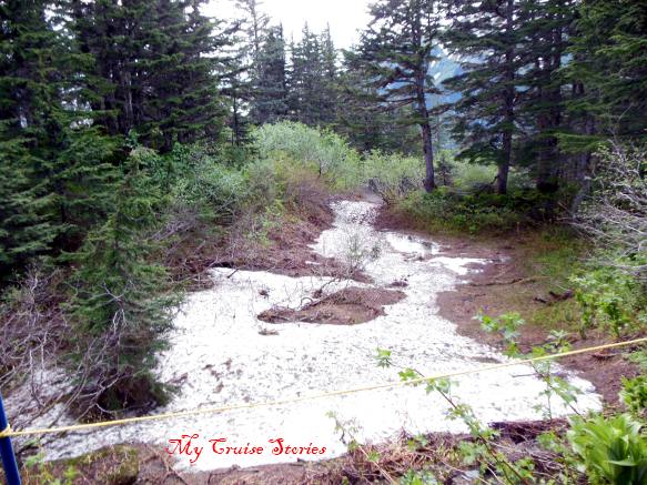 snow on the trail at Mt Roberts