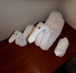 towel ducks 3 sizes