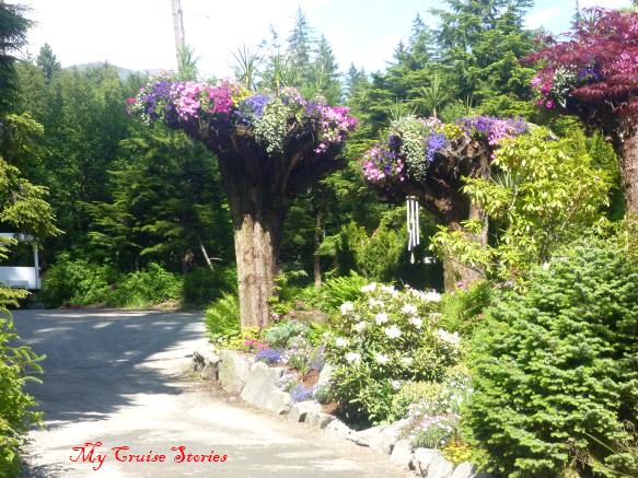 Glacier Gardens, Juneau Alaska