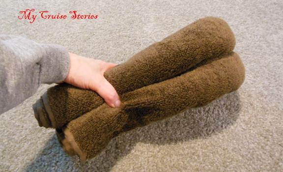 How to fold cruise ship towel animals