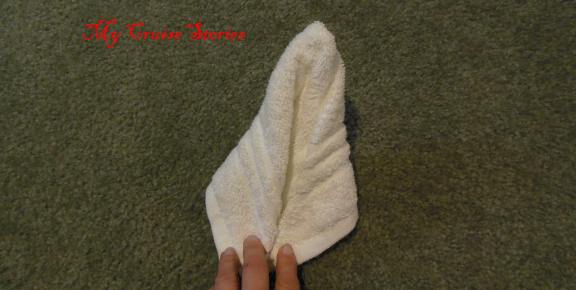 towel art, towel origami