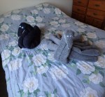 how to fold a towel swan