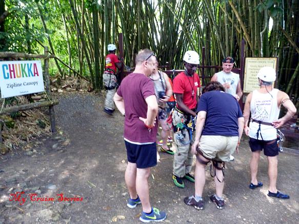 zip line at Good Hope Estate