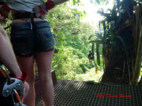 zipline in Jamaica