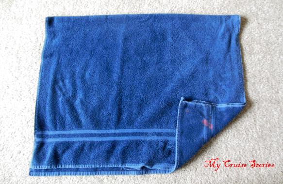 MSC cruises towel dragonfly