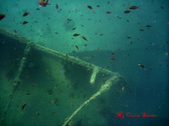 fish on shipwreck