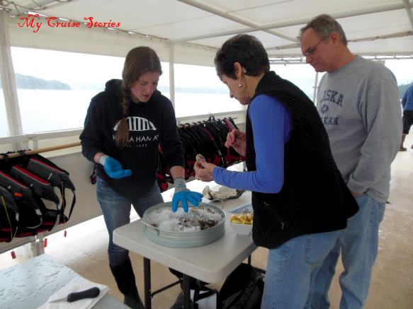 oyster shucking demonstration
