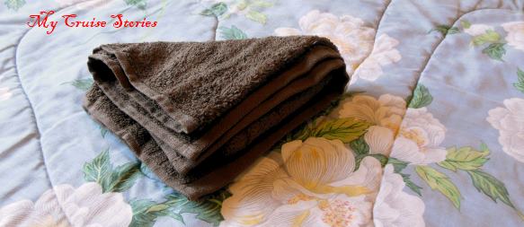 the art of making towel animals