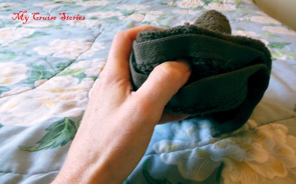 folding a towel monkey like on a cruise ship