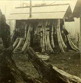 stumphouse