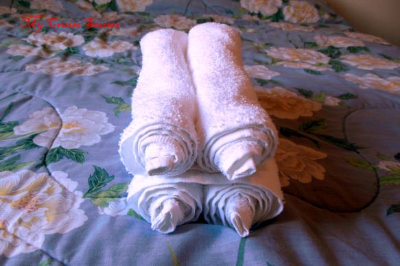 towel art