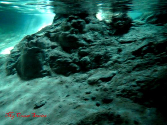 in the water in a cenote