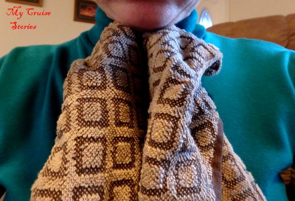 step by step towel animal folding instructions