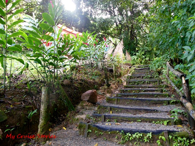 jungle stairs