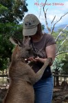 dances with kangaroos