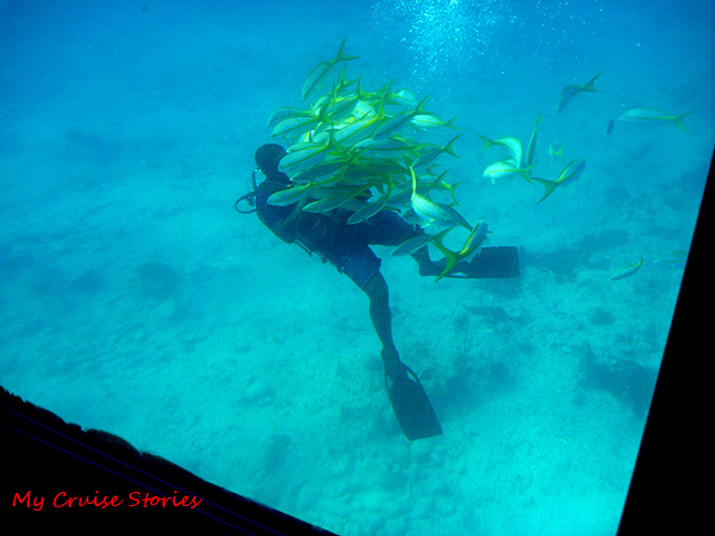 diver from the semi-sub