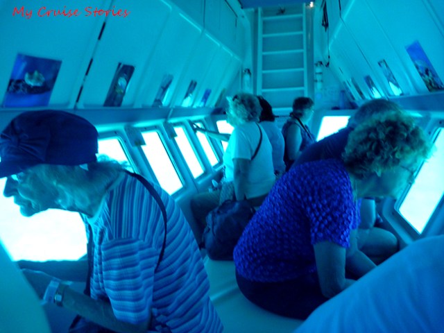 seeing what's under the sea