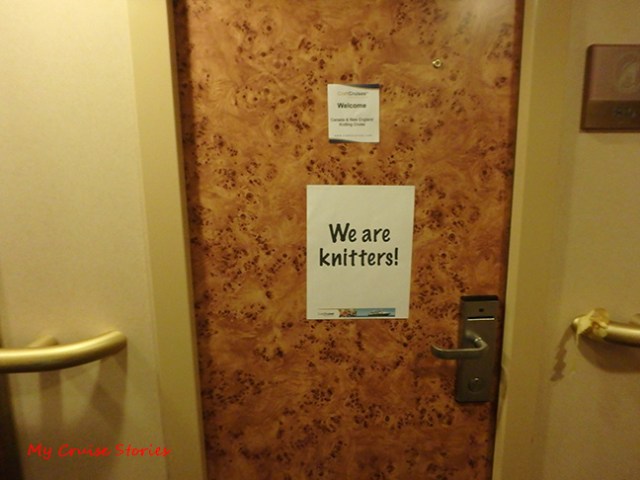 what are kittens doing on a cruise ship