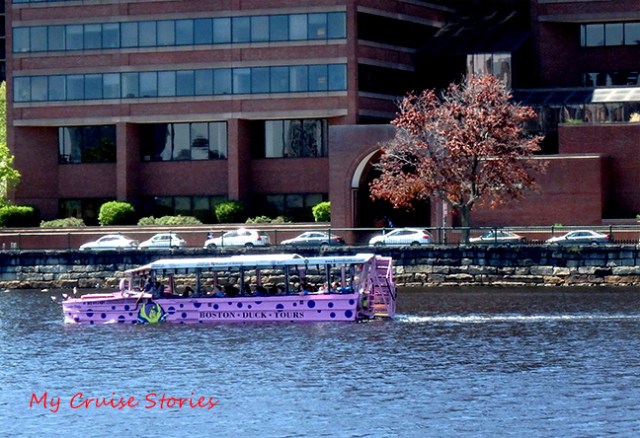 Boston duck boat