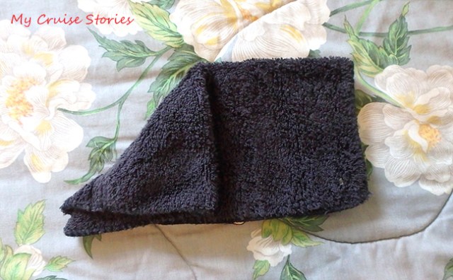 making a washcloth animal head