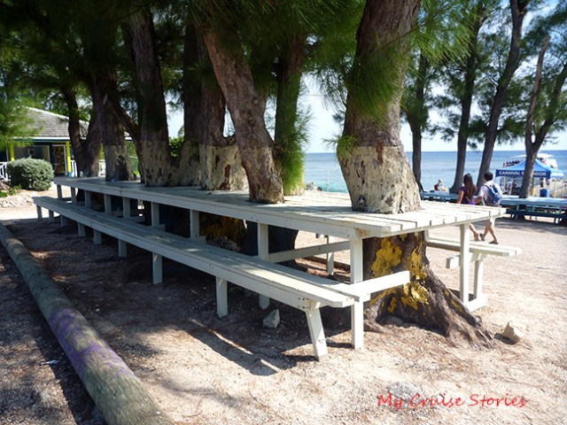 self-shading picnic table