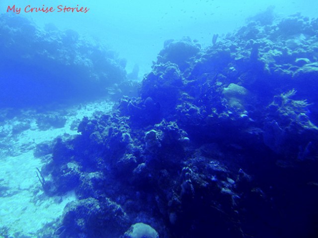 through the sub window