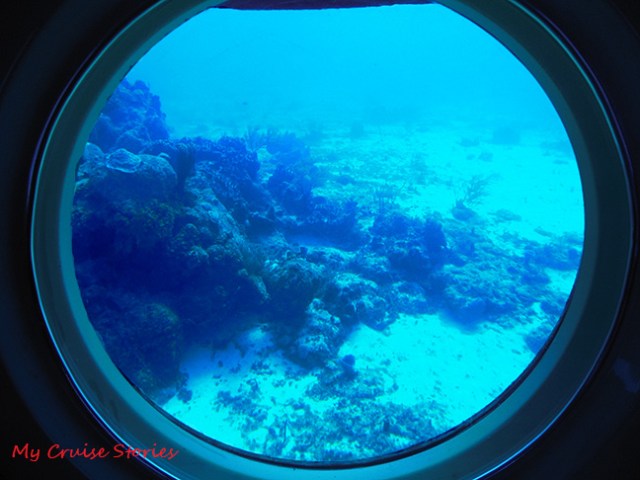 reef at Cozumel