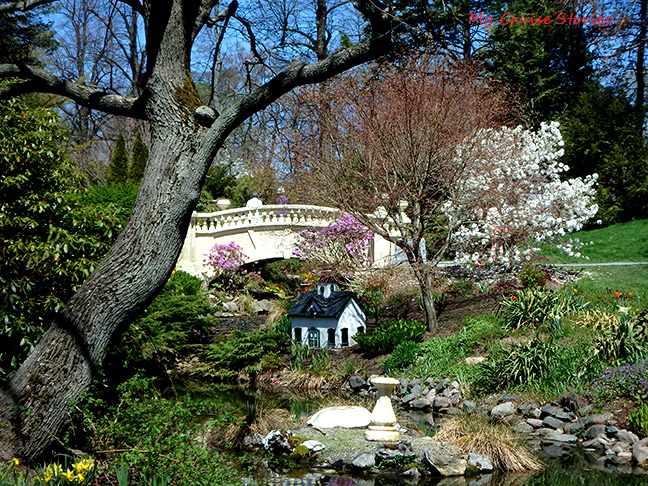 charming little house