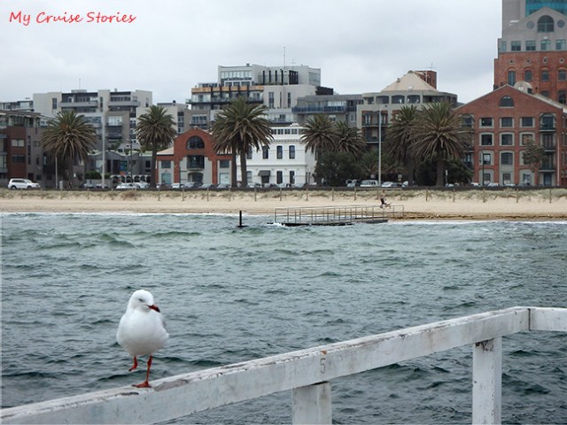 this dock went out pretty far