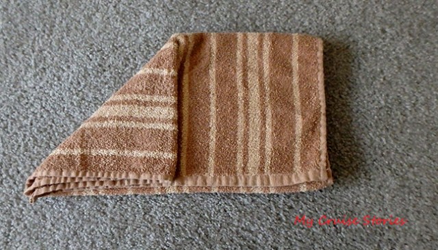 towel origami