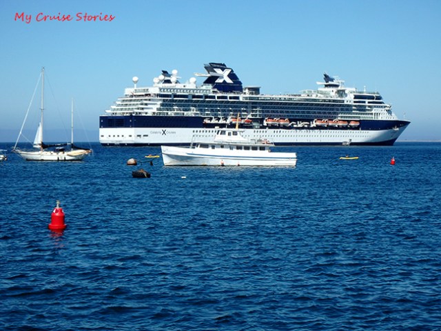 Celebrity Infinity