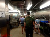 where the food comes from