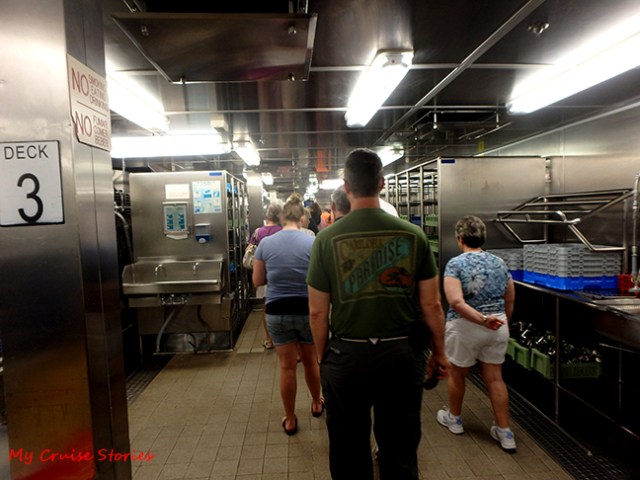 where the food comes from