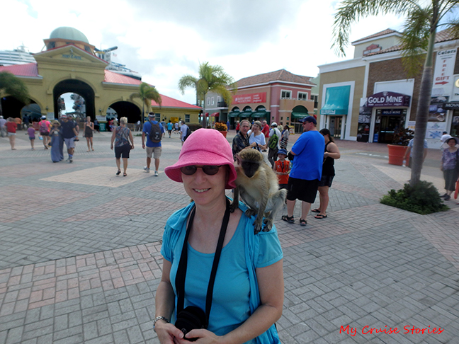 this monkey has to work for a living