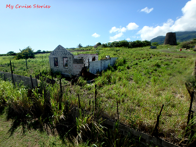 plantation of the past