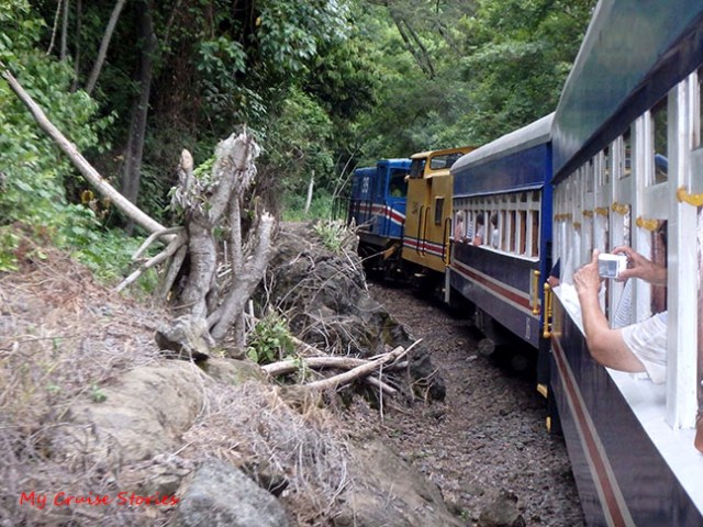 costa rica train ride