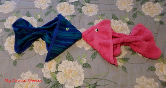 towel fish