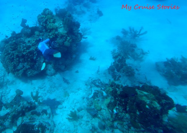 diving with a scooter