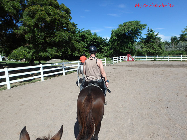 horseback riding in Jamaica