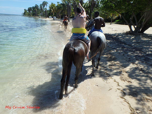 horses on the beach