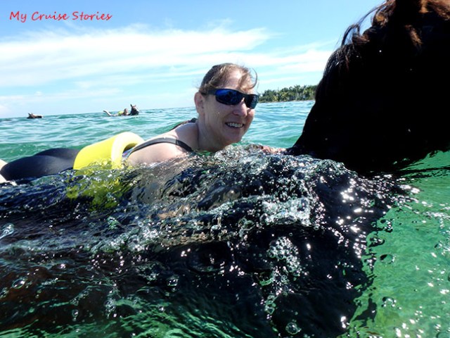 swimming on horseback