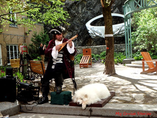 blends right in with the buildings