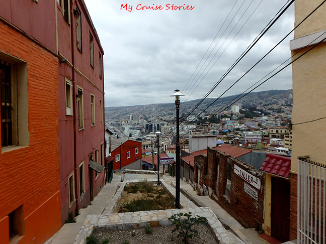 they didn't clean up the dog poop here