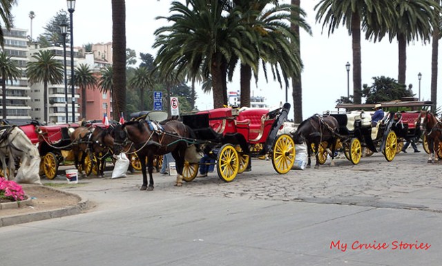 putting on the feed bags