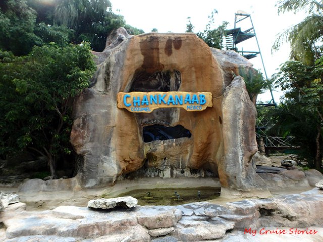 near the park entrance