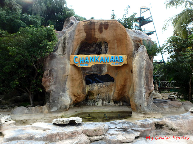 near the park entrance